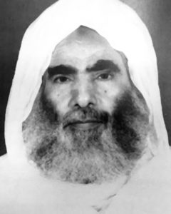 الشيخ محمد نور بن سيف المهيري